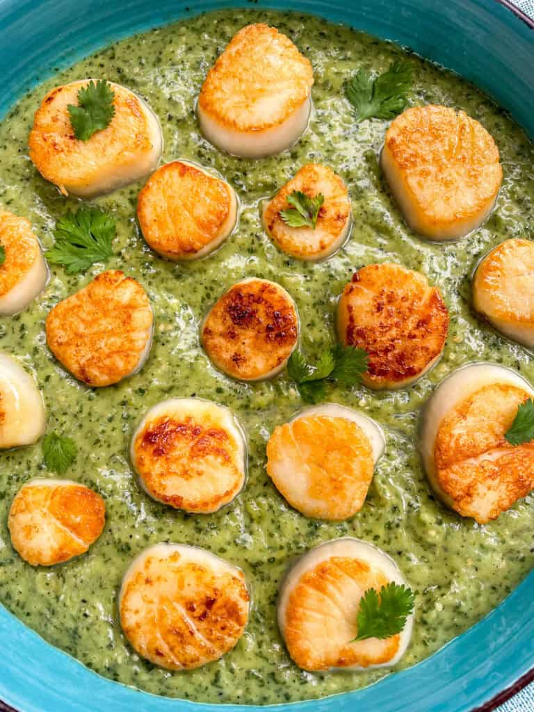 Scallops with Salsa Verde
