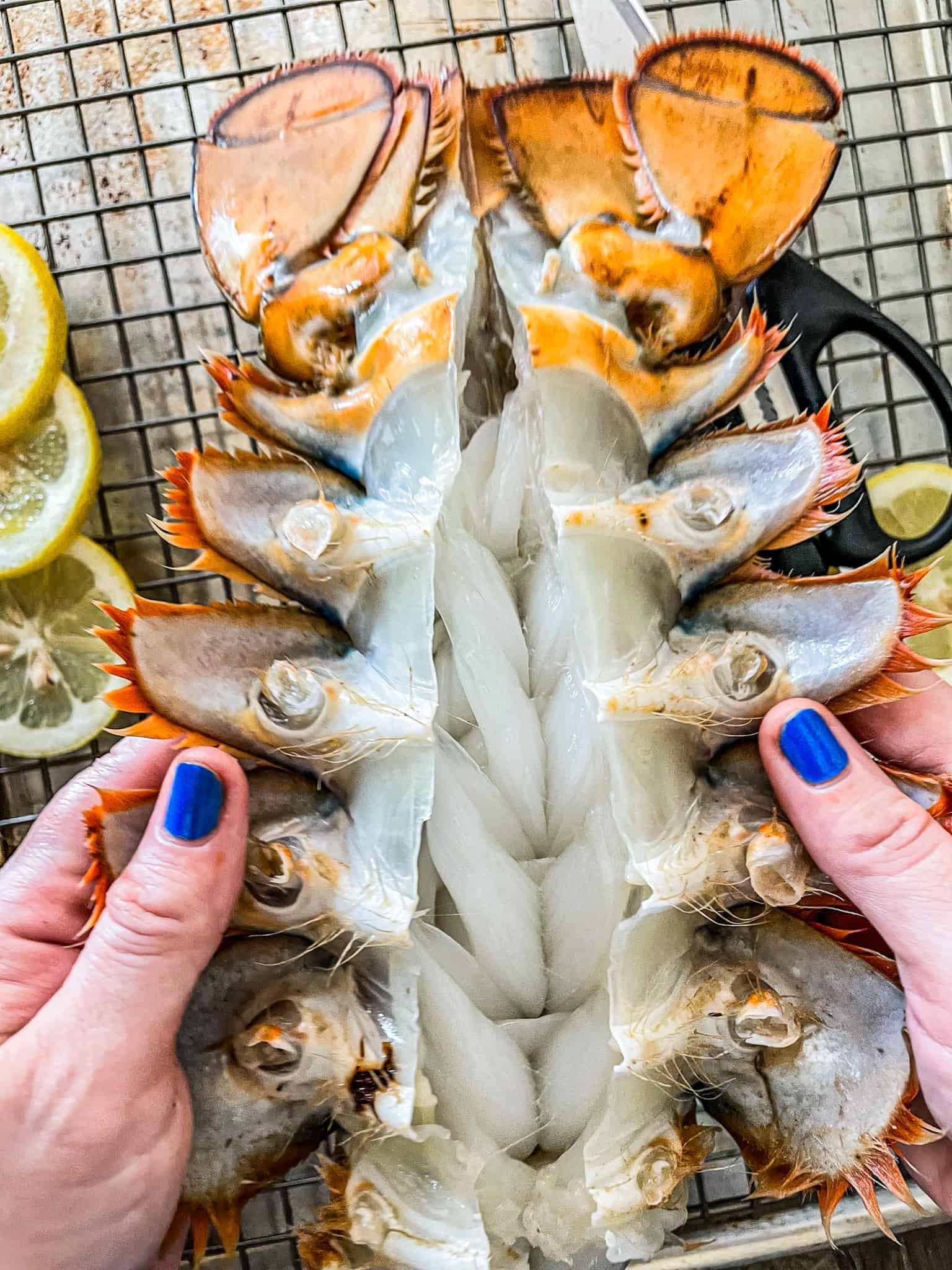 How to Split a Lobster Tail Beach Girl Grills